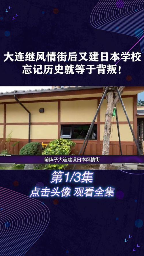 东北日韩校园风情视频网站,穿越时空的青春记忆