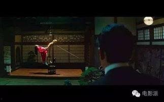 盛宴视频成人,揭秘成人生涯的精彩瞬间