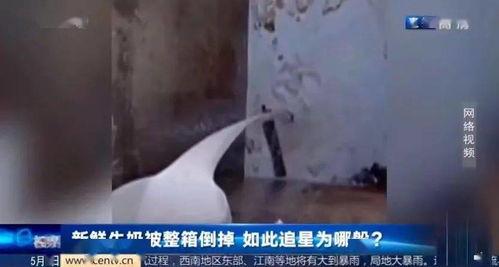 日韩澡堂盗摄视频网站