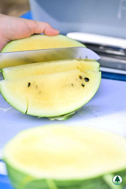 香港网红吃瓜图片,揭秘娱乐圈最新八卦风云