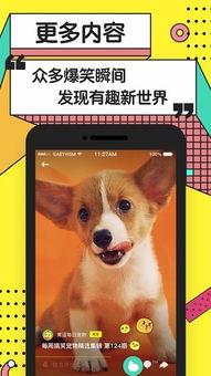 手机能看的日韩黄视频,刺激与禁忌的交织